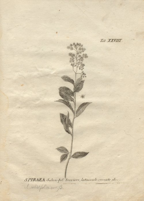 Страница 293