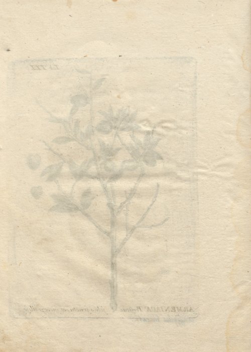 Страница 298