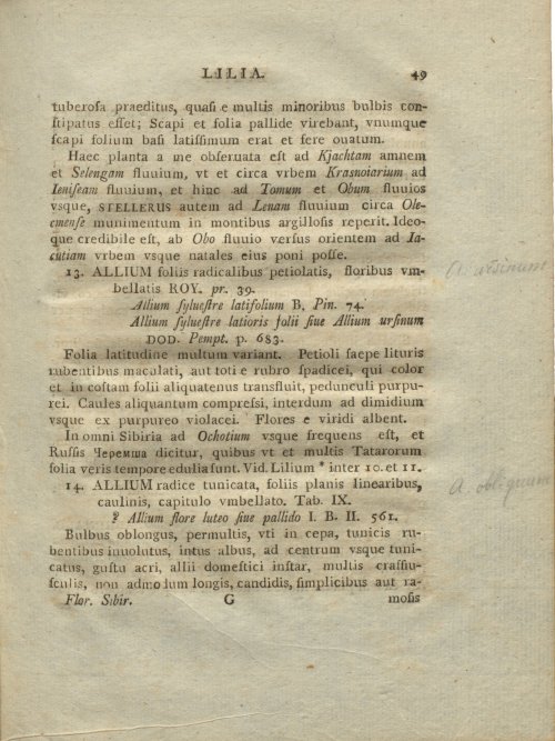 Страница 145