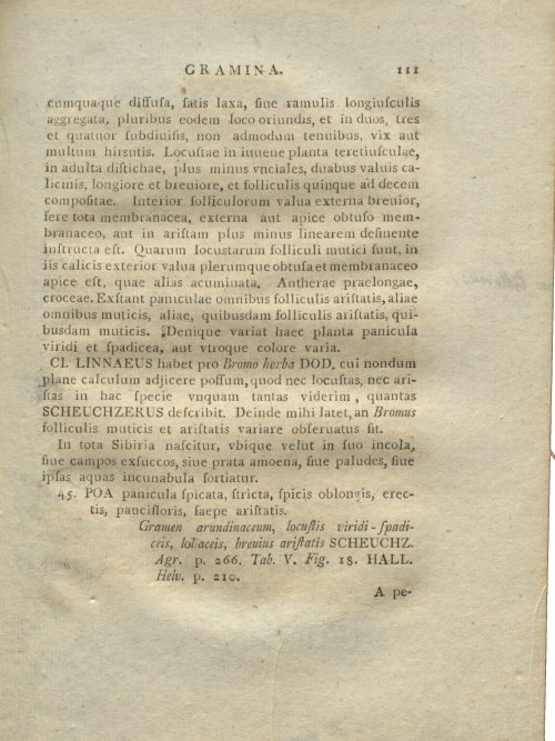Страница 207
