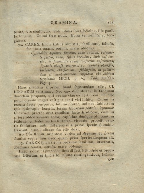 Страница 231