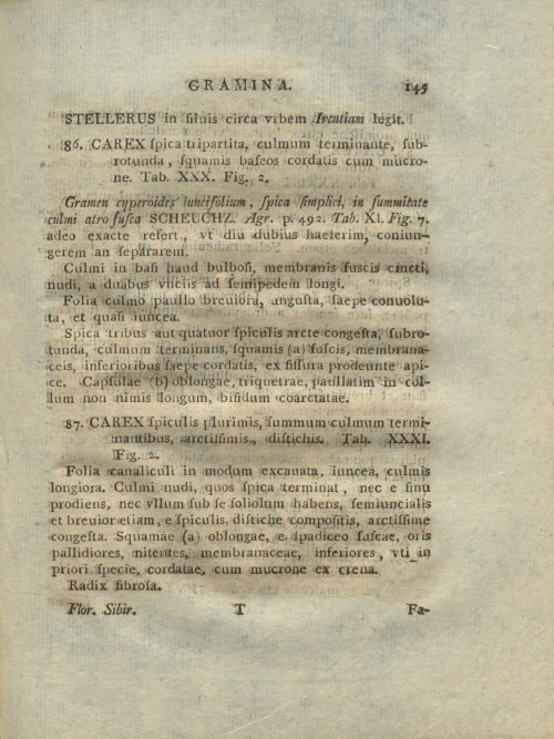 Страница 241
