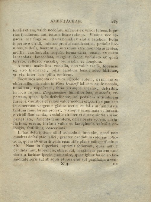 Страница 261