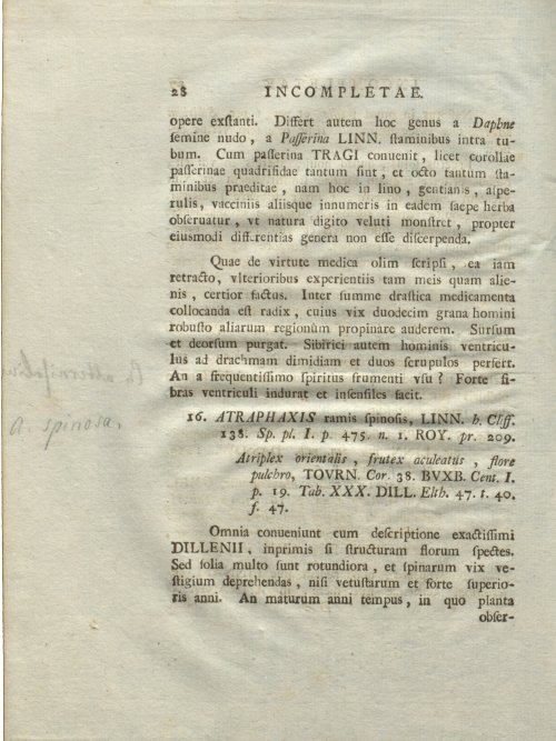 Страница 34