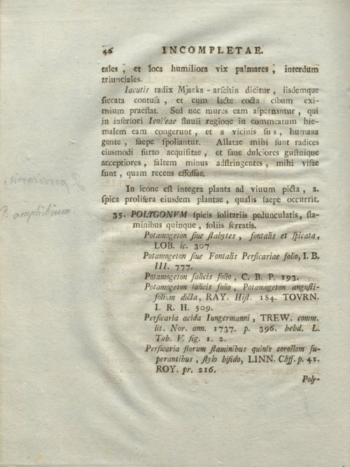 Страница 52