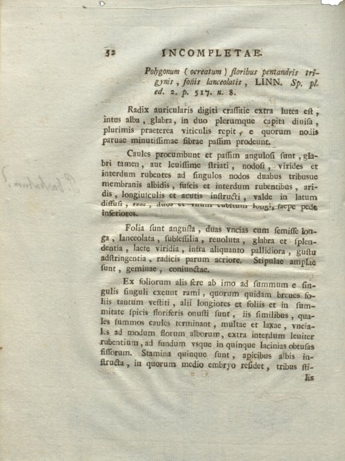 Страница 58