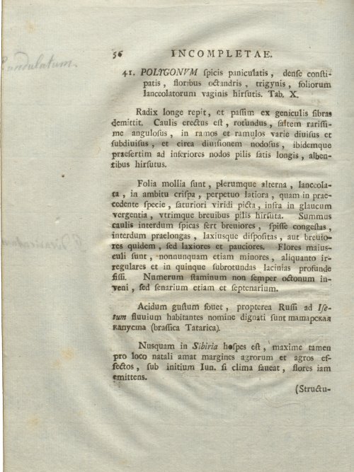 Страница 62