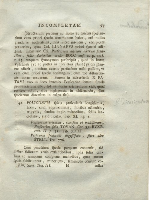Страница 63