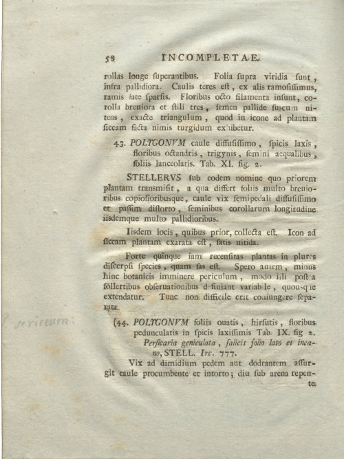 Страница 64