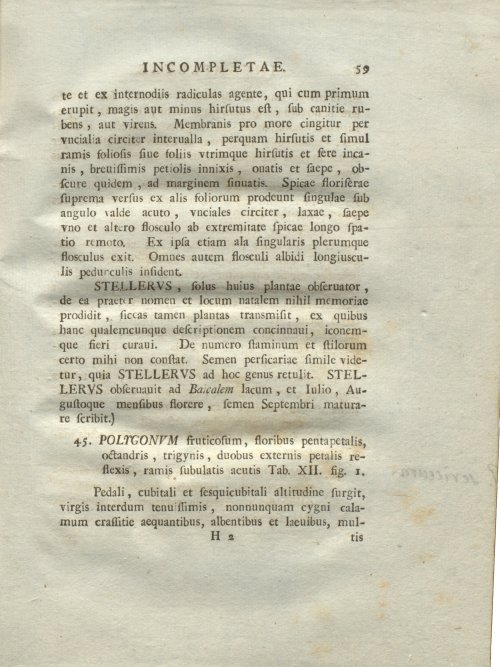Страница 65