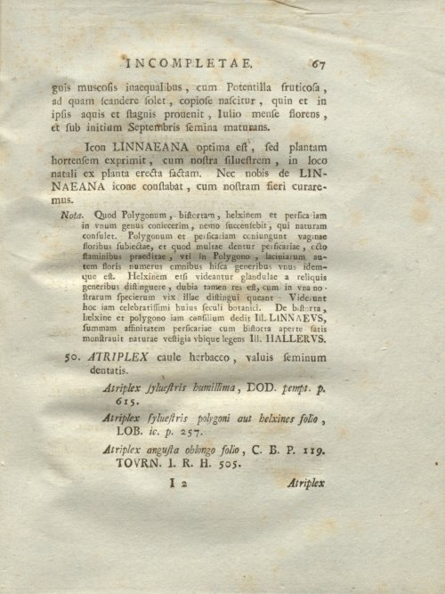 Страница 73