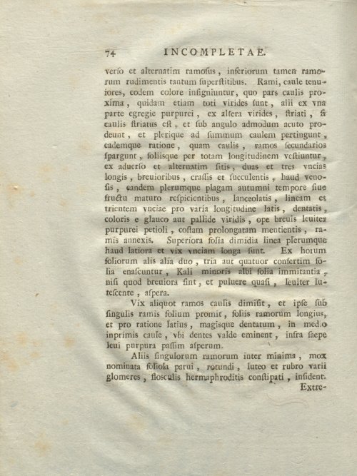 Страница 80