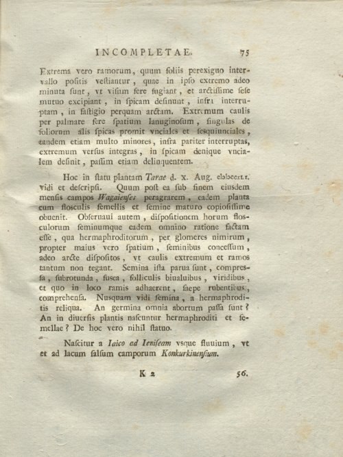 Страница 81