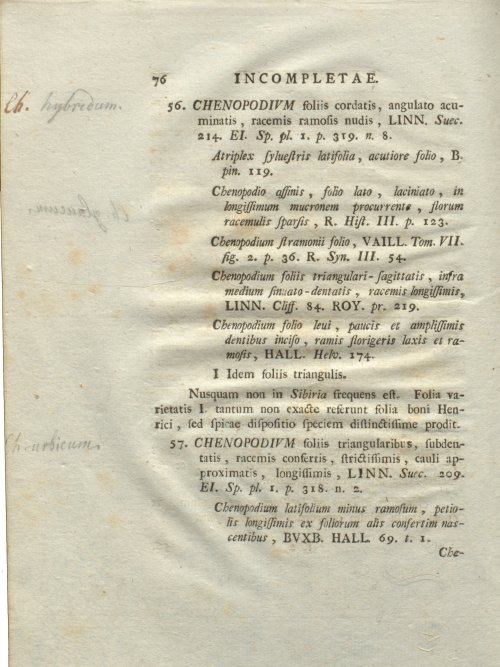Страница 82