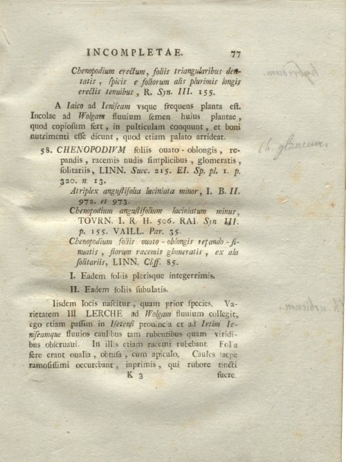 Страница 83
