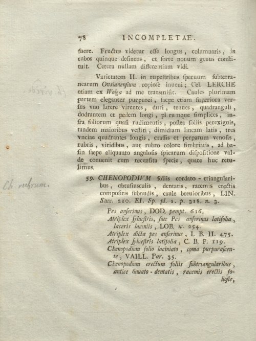 Страница 84