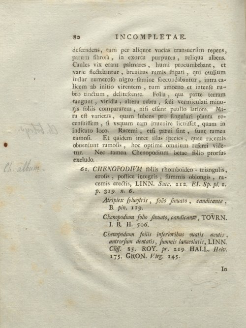 Страница 86