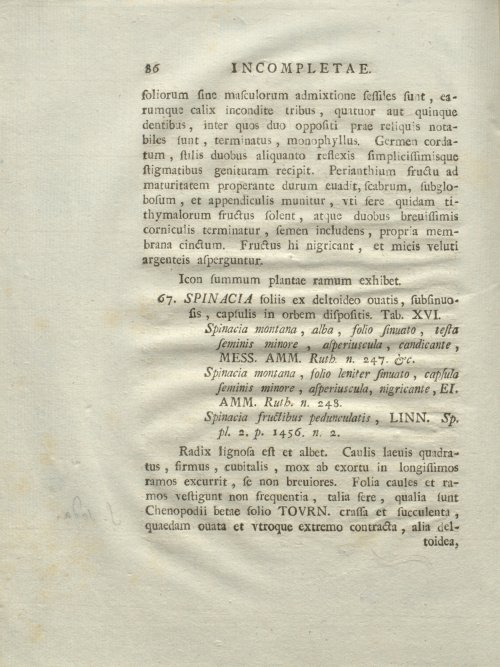 Страница 92