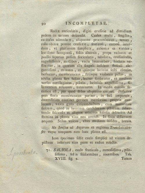 Страница 96