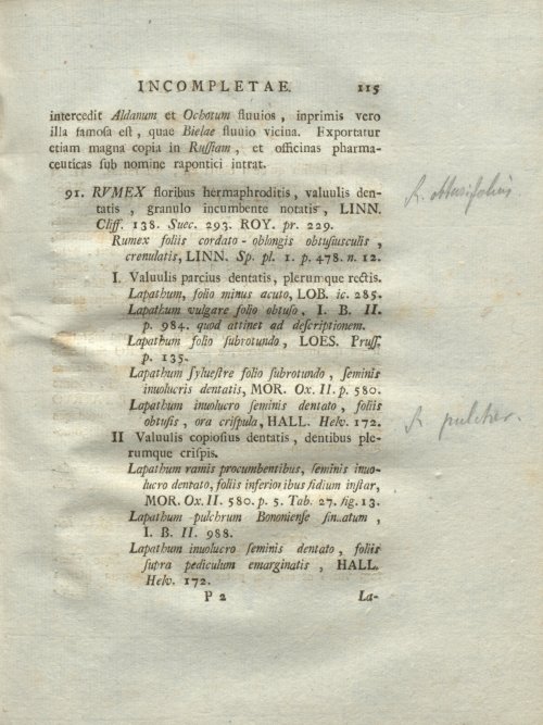 Страница 121