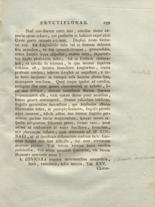 Страница 141