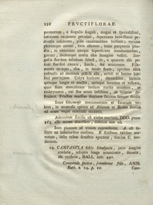 Страница 162