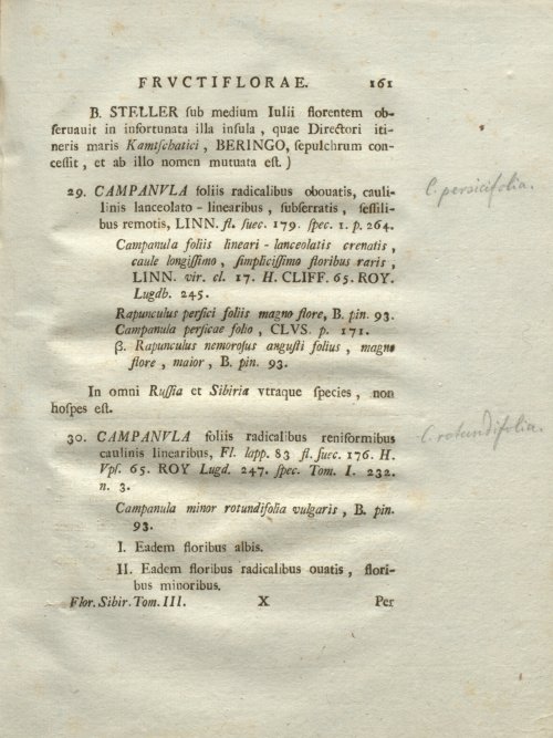 Страница 167