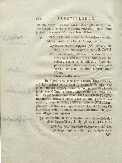 Страница 170