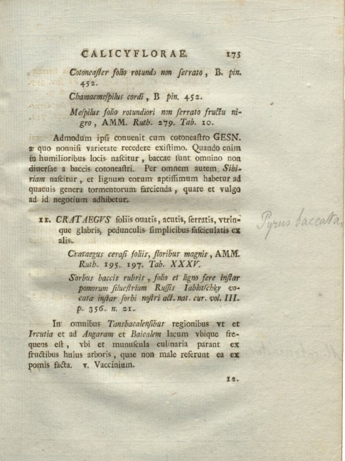 Страница 181