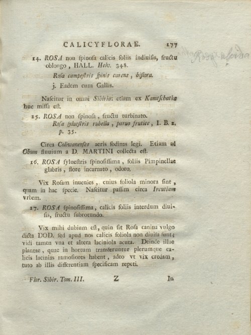 Страница 183