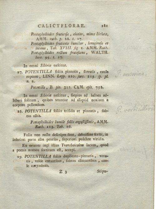 Страница 187