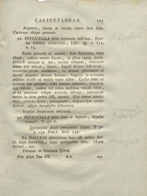 Страница 191