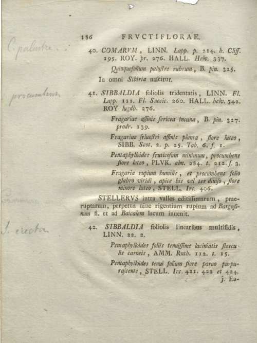Страница 192
