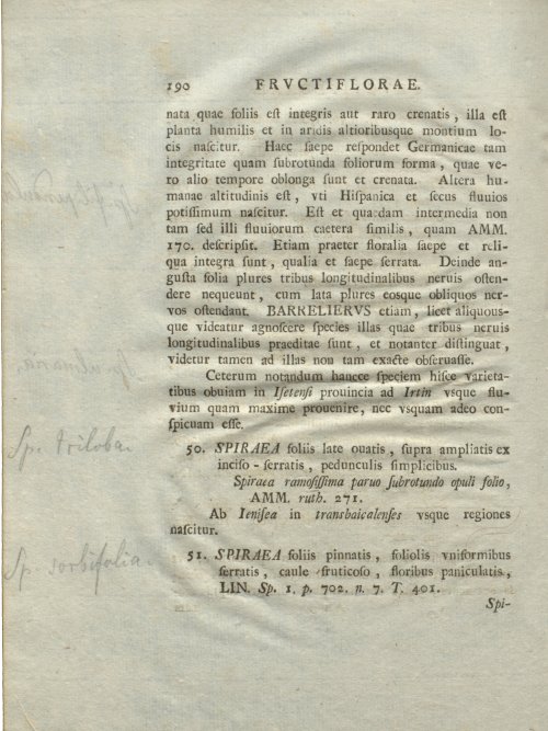 Страница 196