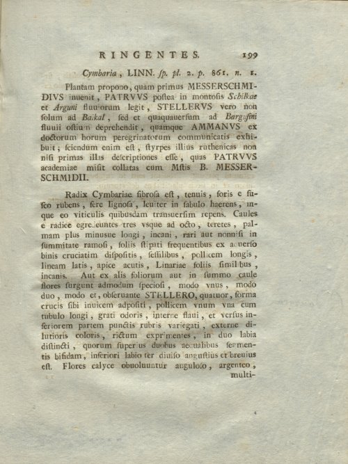Страница 205
