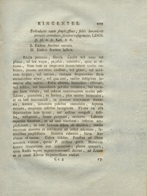 Страница 211