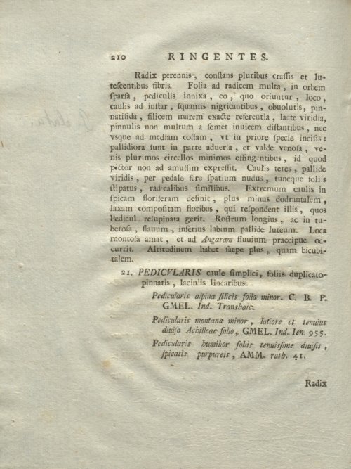Страница 216