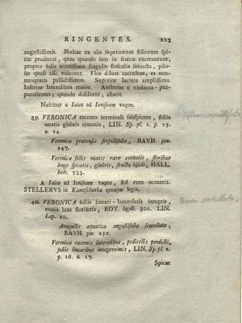 Страница 229