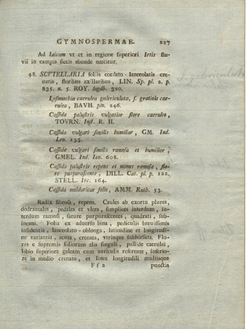 Страница 233