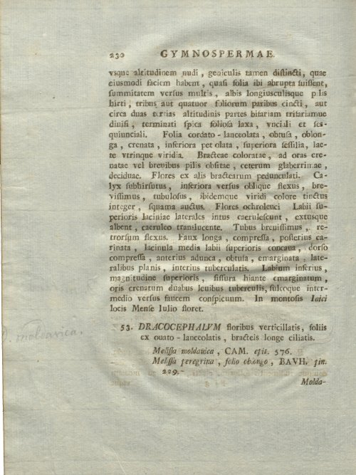 Страница 236