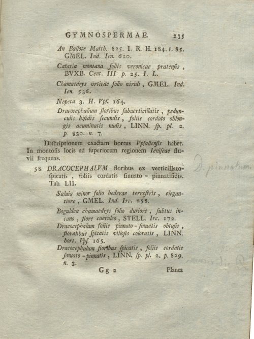 Страница 241