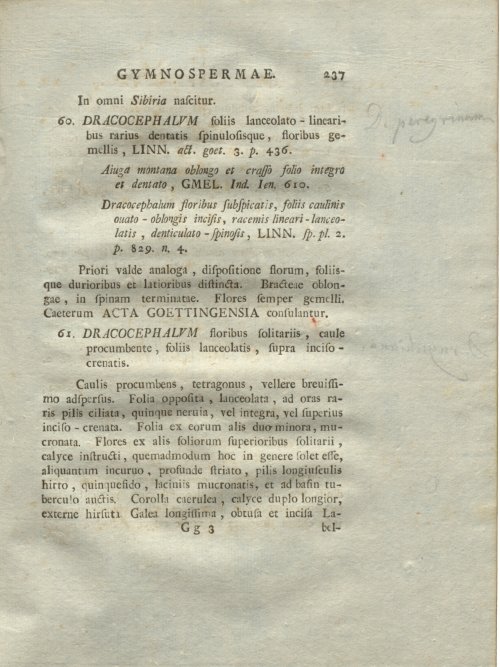 Страница 243