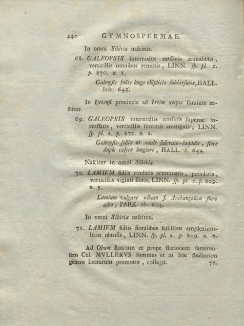 Страница 246