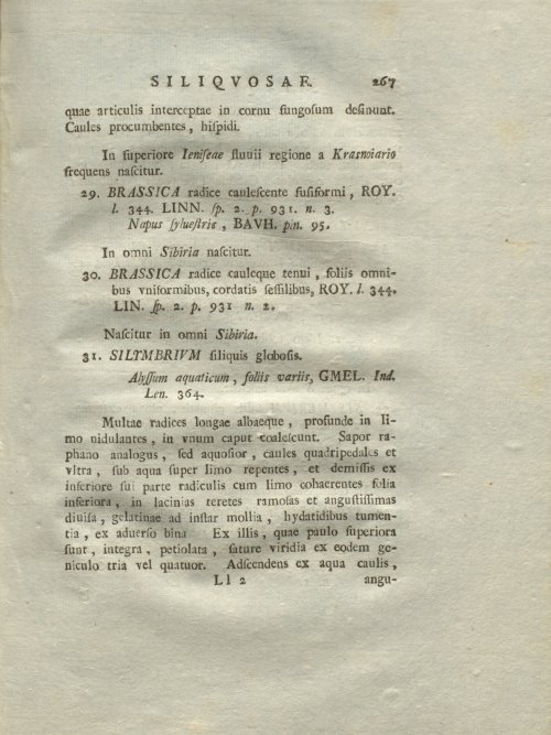 Страница 273