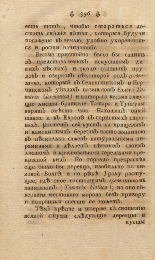 Страница 366