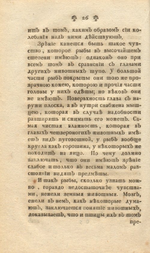 Страница 32