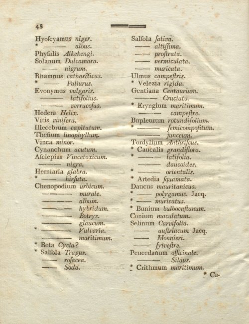 Страница 58