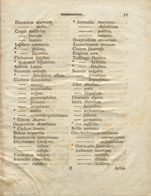 Страница 67