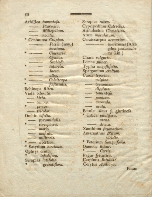 Страница 68