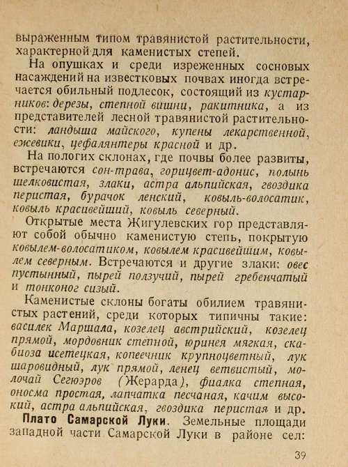 Страница 41